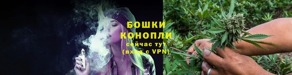 сатива Навашино