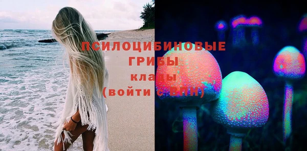 сатива Навашино