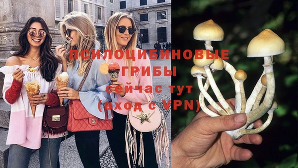 соль ск Надым